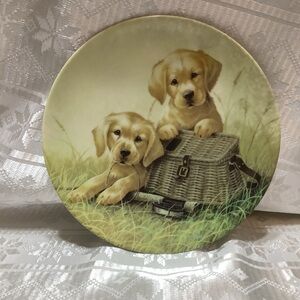 Knowles Collector Plate Gone Fishin’  First Issue in Field Trips Vintage 1991